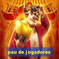 pau de jogadores